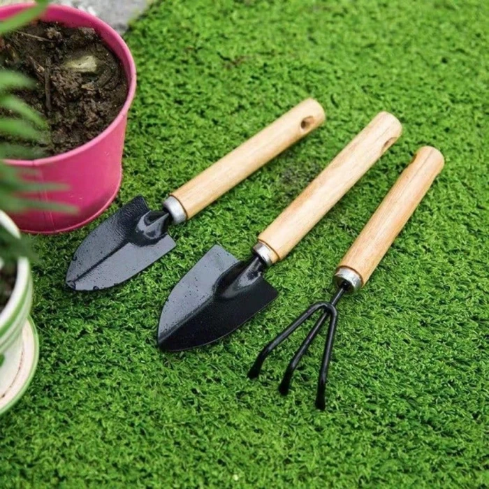 Mini 3-Piece Succulent & Bonsai Gardening Tool Set
